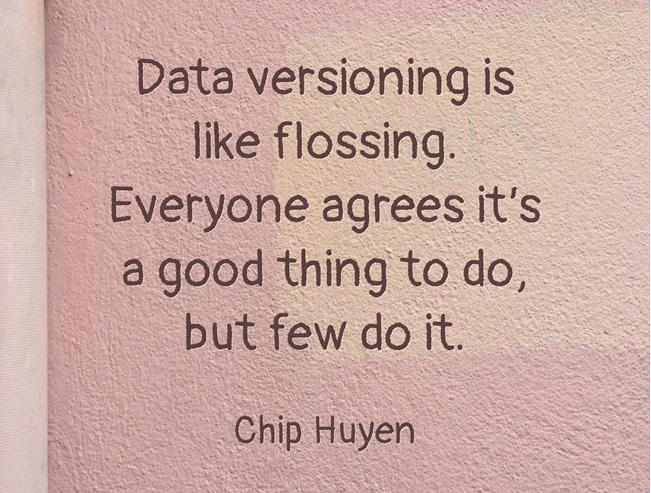 Data versioning